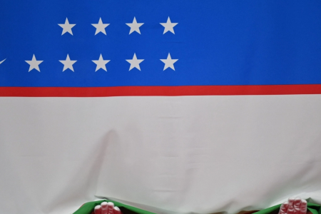 Ουζμπεκιστάν: Το κοινοβούλιο ψηφίζει πολυαναμενόμενη νομοθεσία που ποινικοποιεί την ενδοοικογενειακή βία Ουζμπεκιστάν: Το κοινοβούλιο ψηφίζει πολυαναμενόμενη νομοθεσία που ποινικοποιεί την ενδοοικογενειακή βία