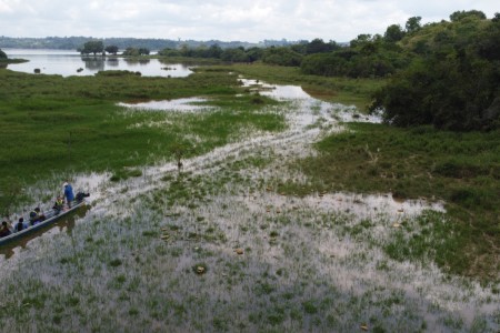 COP16: Τα κράτη πρέπει να ενισχύσουν την προστασία των ανθρωπίνων δικαιωμάτων στο Παγκόσμιο Πλαίσιο για τη Βιοποικιλότητα